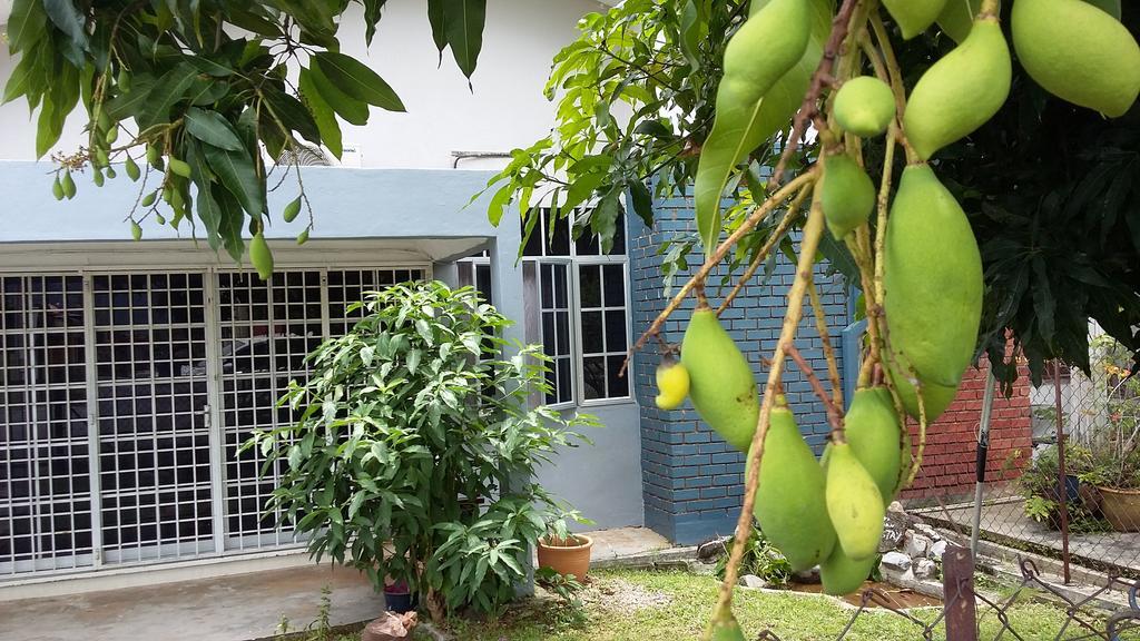 Kayangan Homestay Perlis For Mslim Only カンガー エクステリア 写真